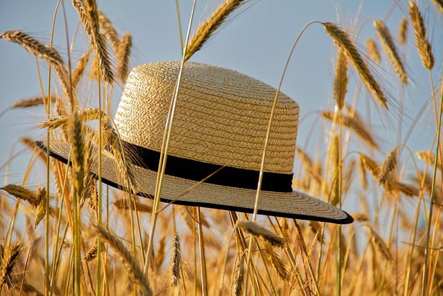 letné osvieženie pomocou difuzéru
